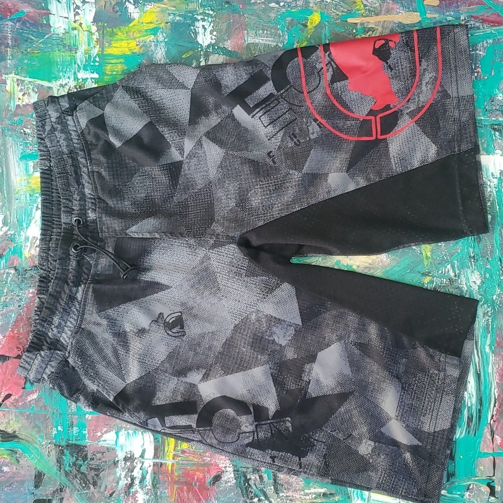 Ecko Function mens basketball shorts